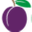 Plumlogix